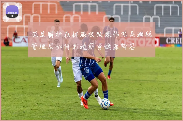 深度解析森林狼极致操作完美避税管理层如何打造薪资健康阵容